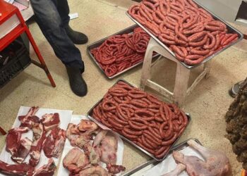 حجز مواد غذائية ولحوم فاسدة بسكيكدة