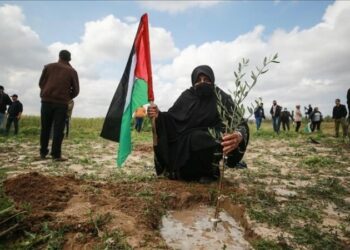 ذكرى “يوم الأرض”.. الفلسطينيون صامدون في وجه الاستيطان الصهيوني