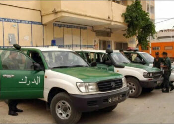 الإطاحة بعصابة دولية في البليدة