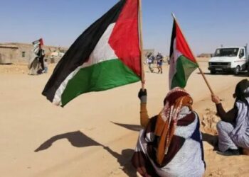مطالب دولية بحماية حقوق الإنسان في المدن الصحراوية المحتلة