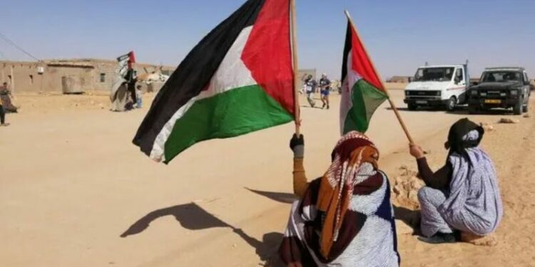 مطالب دولية بحماية حقوق الإنسان في المدن الصحراوية المحتلة