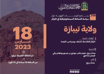 جلسة جهوية بشأن “الصّناعة السِينماتوغرافية” السبت المقبل