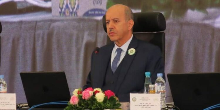 سايحي: وكالة التنمية الصحية منصة حقيقة للعمل العربي المشترك
