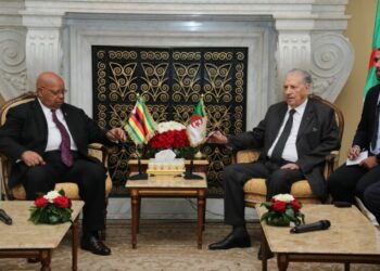 قوجيل: مرافقة حركات التحرر في العالم.. عقيدة الجزائر