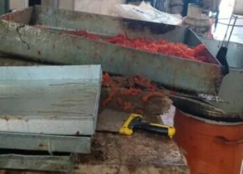 صور صادمة لمحل صناعة الـ “زلابية” ببوفاريك