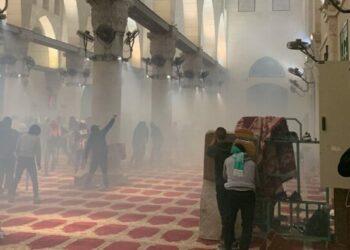 مظاهرات في مدن أمريكية تنديدا على اعتداءات الاحتلال الصهيوني