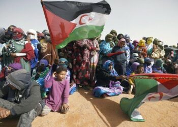 البوليساريو تؤكد تمسكها بخيار الكفاح المسلح لطرد الاحتلال المغربي