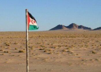 حملة إعلامية ضد نهب شركات أجنبية لثروات الشعب الصحراوي