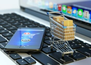كيف نحمي البيانات الرّقمية في التجارة الإلكترونية