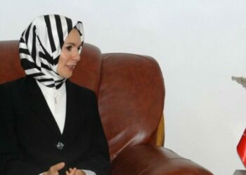 ارتفاع حجم المبادلات التجارية بين الجزائر وتركيا