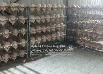 حجز 4 قناطير من الدجاج بخميس الخشنة