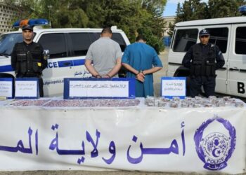 الإطاحة بشبكة تروّج المؤثرات العقلية بالمدية