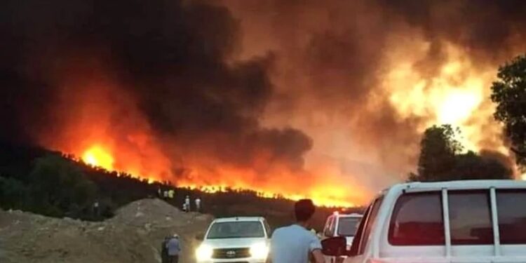 كنفدرالية الصناعيين الجزائريين: تفعيل صندوق الكوارث.. أولوية