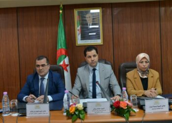 ما قاله وزير العمل عن مراجعة معاشات التقاعد