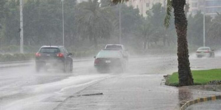 أمطار ورياح في هذه الولايات..