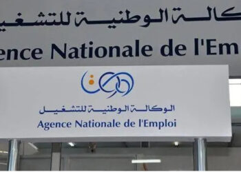 تكوين 2600 مستفيد من منحة البطالة بوهران 