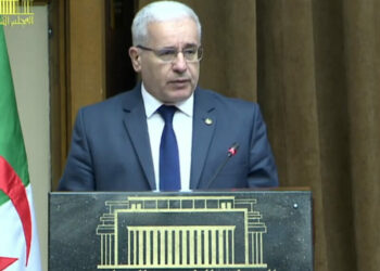 بوغالي: بنك البذور يساهم في تحقيق الأمن الغذائي المستدام