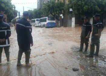 مساعدات من 3 ولايات لمواجهة مخلفات فيضانات بتيبازة
