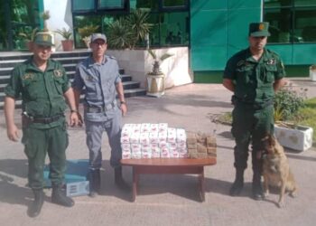 الجمارك تحجز كميات معتبرة من المخدرات والمهلوسات