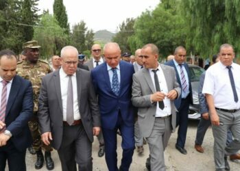 وزير النقل يلح على تسليم خط السكة عين البيضاء ـ خنشلة قبل نهاية 2023