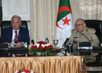 الفريق أول شنقريحة يستقبل مدير المصلحة الفدرالية للتعاون العسكري والتقني لروسيا