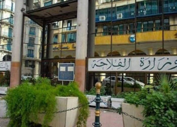 وزارة الفلاحة تفند مزاعم كساد منتوج الثوم
