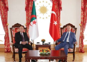  الرئيس تبون يجري محادثات موسعة مع نظيره التركي 