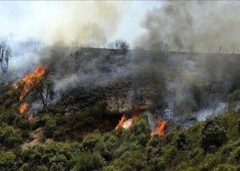 حرائق.. الحماية المدنية تدعو إلى عدم الانسياق وراء الأخبار المغلوطة