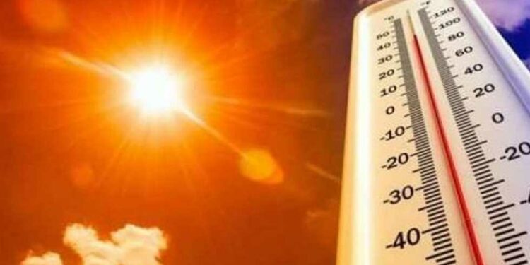 موجة حر جنوبي الجزائر بداية من الاثنين