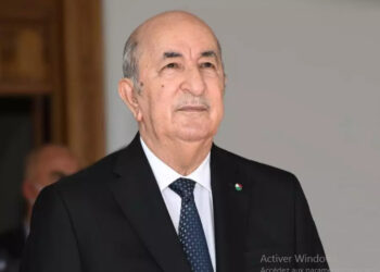 مقاربة الجزائر لمحاربة الهجرة غير الشرعية مبنية على دعم السلم والأمن والتنمية