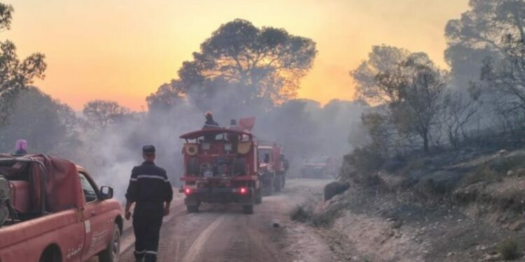 حرائق وحوادث مرور.. حصيلة الحماية المدنية في 24 ساعة