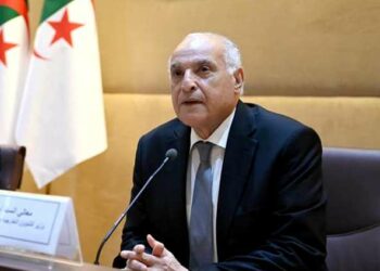 عطاف يؤكد التزام الجزائر بقيم ومبادئ حركة عدم الانحياز