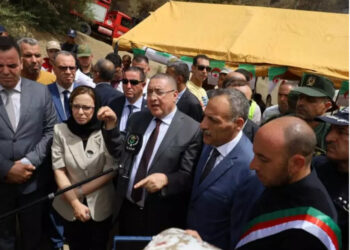 تعويض كل المتضررين من الحرائق فور إتمام جرد وإحصاء الخسائر