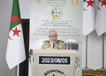 الفريق أول شنقريحة: اليوم الوطني للجيش محطة مضيئة في مسيرة وطننا