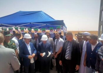وزير الفلاحة يؤكد إعادة تنظيم توزيع الأعلاف المدعمة على المربين