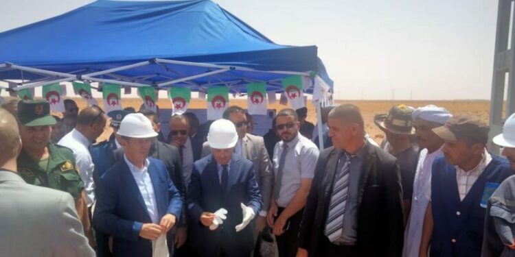 وزير الفلاحة يؤكد إعادة تنظيم توزيع الأعلاف المدعمة على المربين