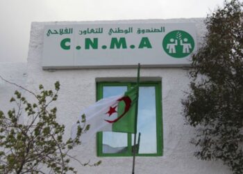 الصندوق الوطني للتعاون الفلاحي يٌسجّل نموا بـ 3%