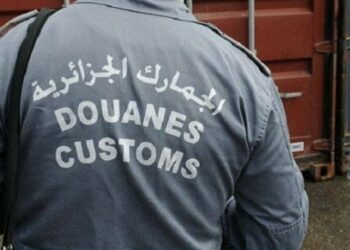البليدة.. حجز “كميات هامة” من البضائع المحظورة في 8 أشهر