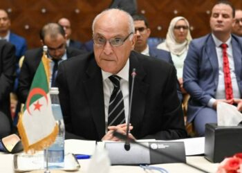 عطاف يترأس مناصفة مع نظيرته التنزانية اللجنة المشتركة للتعاون الجزائري-التنزاني