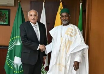 عطاف يتباحث مع نظيره النيجيري حول الأزمة في النيجر