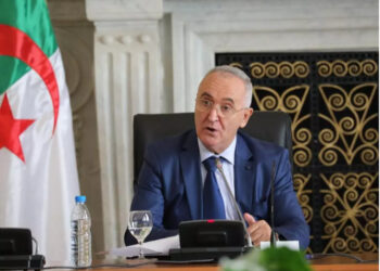 فايد يمثل رئيس الجمهورية في منتدى “بريكس” بجنوب إفريقيا غدا