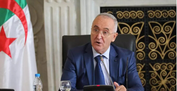 فايد يمثل رئيس الجمهورية في منتدى “بريكس” بجنوب إفريقيا غدا