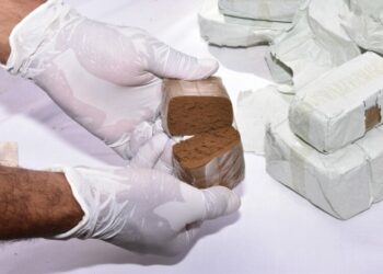 إحباط محاولات إدخال 8 قناطير من الكيف المعالج من المغرب