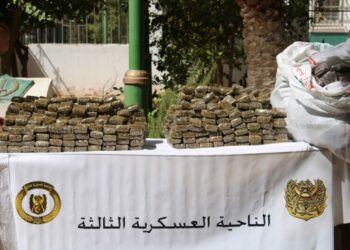 توقيف 8 عناصر دعم إرهاب