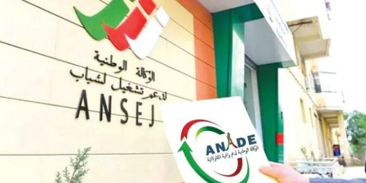 “آناد”.. ميراث ثقيل وآلاف المؤسسات المتعثرة