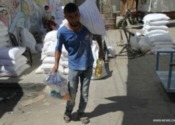 مفوض “أونروا” يحذر من انهيار الوكالة ماليا
