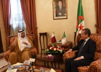 هني يبحث سبل تعزيز التعاون الثنائي مع وزير البيئة القطري