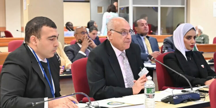 عطاف: الجزائر حريصة على الارتقاء بالشراكة العربية الافريقية