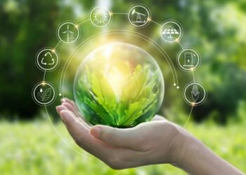 مؤسسات صغيرة ومتوسطة لتكريس التنمية المستدامة