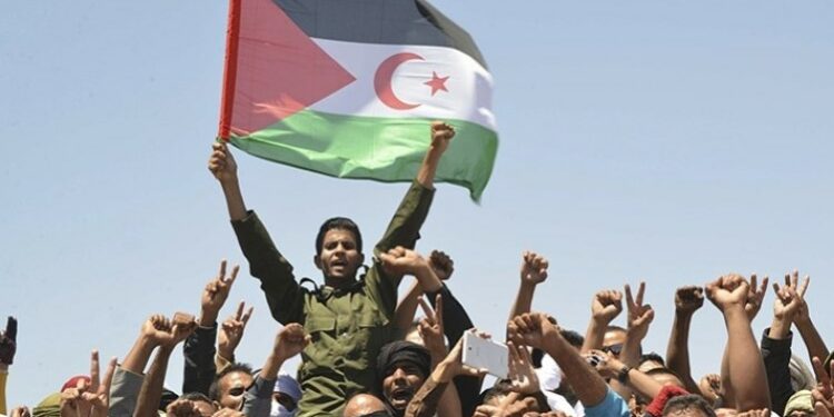 القضية الصحراوية.. لا بديل عن استفتاء تقرير المصير